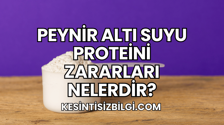 Peynir Altı Suyu Proteini Zararları Nelerdir?