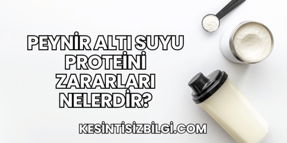 Peynir Altı Suyu Proteini Zararları Nelerdir?