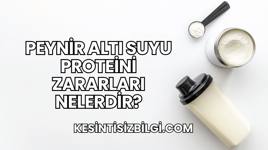 Peynir Altı Suyu Proteini Zararları Nelerdir?