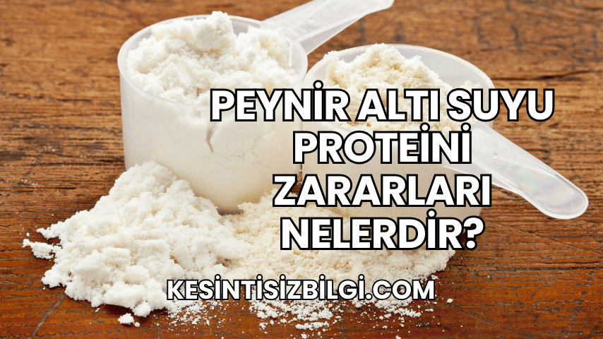 Peynir Altı Suyu Proteini Zararları Nelerdir?