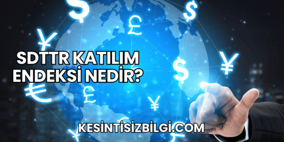 SDTTR Katılım Endeksi Nedir?