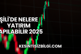 Şili'de Nelere Yatırım Yapılabilir 2025