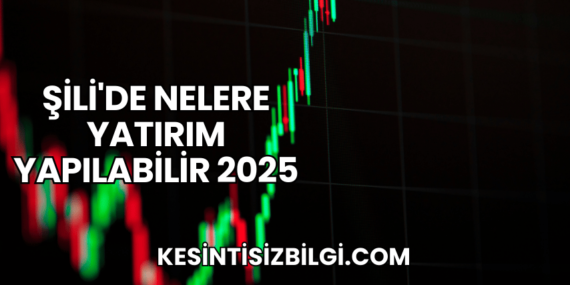 Şili’de Nelere Yatırım Yapılabilir 2025