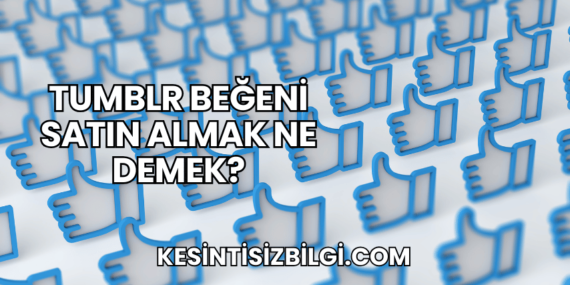 Tumblr Beğeni Satın Almak Ne Demek?
