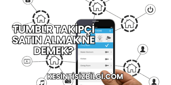 Tumblr Takipçi Satın Almak Ne Demek?