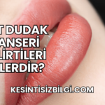 Üst Dudak Kanseri Belirtileri Nelerdir?