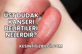 Üst Dudak Kanseri Belirtileri Nelerdir?