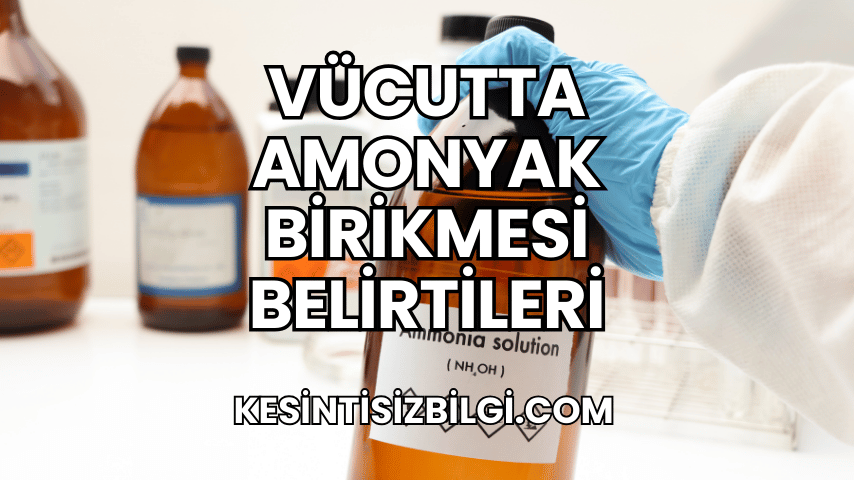 Vücutta Amonyak Birikmesi Belirtileri