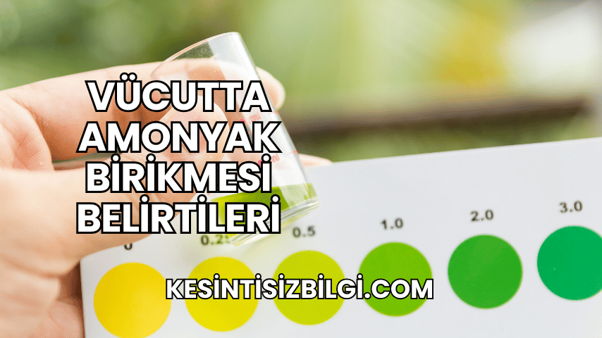 Vücutta Amonyak Birikmesi Belirtileri