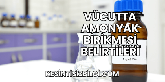 Vücutta Amonyak Birikmesi Belirtileri