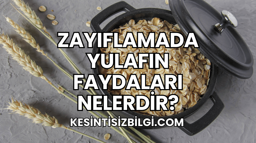 Zayıflamada Yulafın Faydaları Nelerdir?