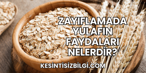 Zayıflamada Yulafın Faydaları Nelerdir?