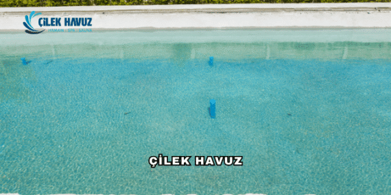 Çilek Havuz Hakkında