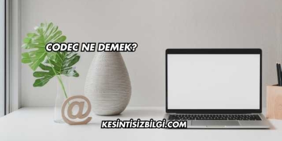 Codec Ne Demek?