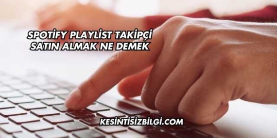 Spotify Playlist Takipçi Satın Almak Ne Demek