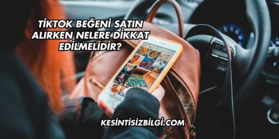 TikTok Beğeni Satın Alırken Nelere Dikkat Edilmelidir?