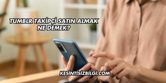 Tumblr Takipçi Satın Almak Ne Demek?