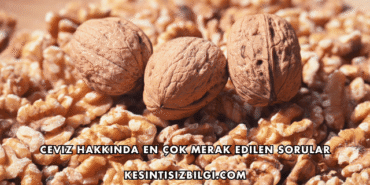Ceviz Hakkında En Çok Merak Edilen Sorular