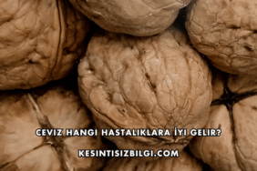 Ceviz Hangi Hastalıklara İyi Gelir?