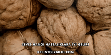 Ceviz Hangi Hastalıklara İyi Gelir?