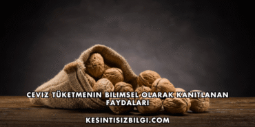 Ceviz Tüketmenin Bilimsel Olarak Kanıtlanan Faydaları