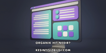 Organik Hit Nedir?