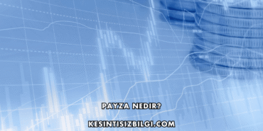 Payza Nedir?